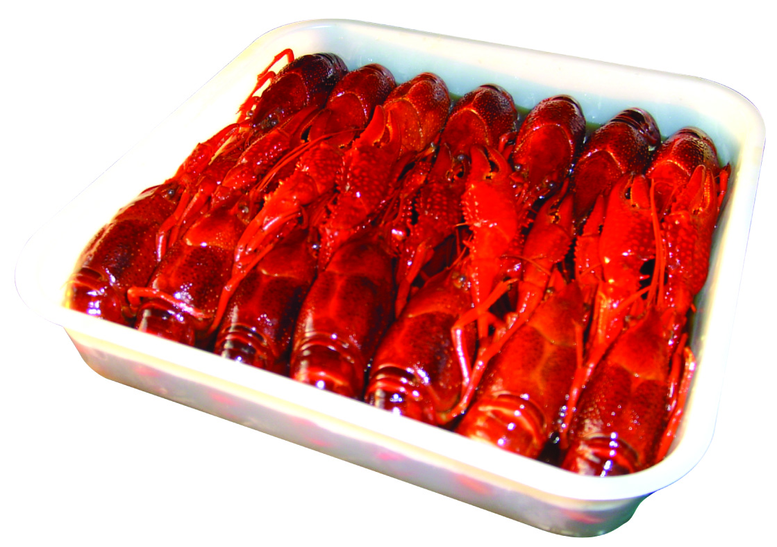 探尋江蘇南通特色水產(chǎn)品 茴香整肢龍蝦與清水整蝦