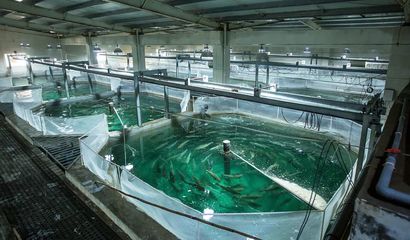 喜報！國信集團兩家水產品公司入選青島首批新經濟潛力企業