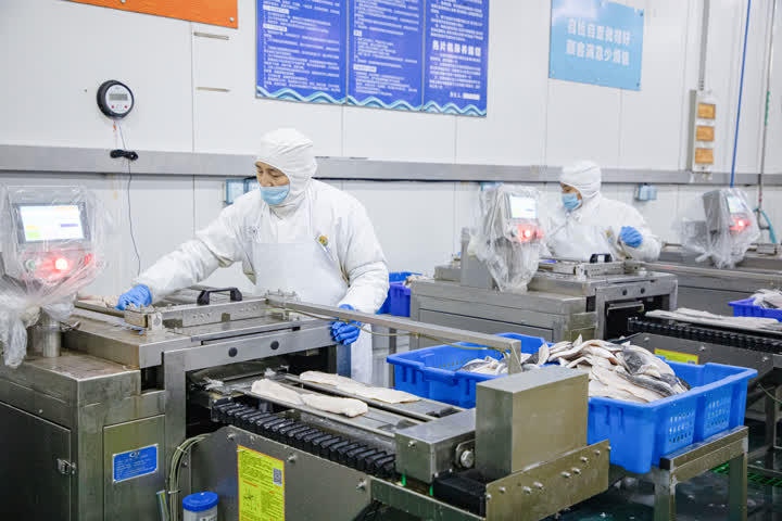 開辟綠色生命通道，海安中洋集團200噸水產食品馳援上海保供穩鏈