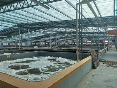 缺蝦百萬噸，產業迎變革 工廠化養蝦面積將破千萬平米，第二屆中國工廠化養蝦大會8月啟幕