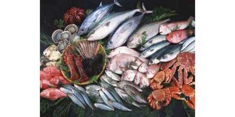 滇池碧波育珍饈——云南特色水產品與農漁產業發展掠影