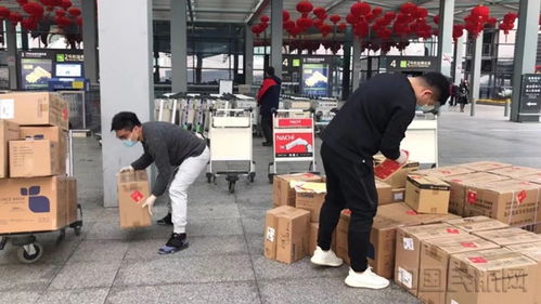 糧草先行 東航全方位保障春運返程防疫物資高效配送